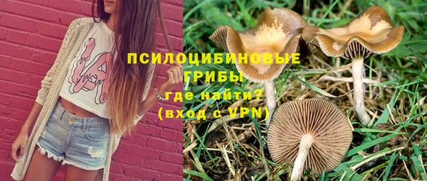 мескалин Белокуриха