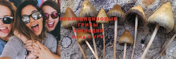 каннабис Баксан