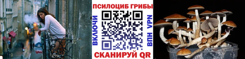 Псилоцибиновые грибы Psilocybine cubensis  что такое наркотик  Черемхово 
